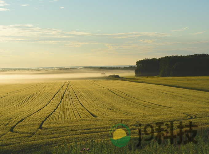 重庆数字农田边界矢量化项目案例图